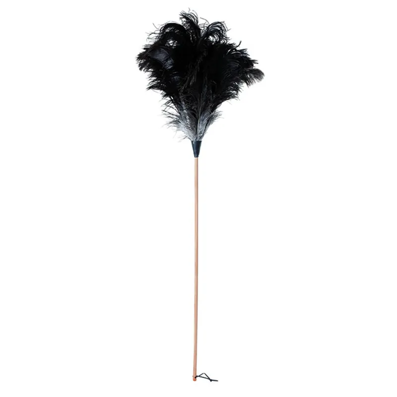 Redecker Straußenwedel 110 cm Neu Im Sortiment