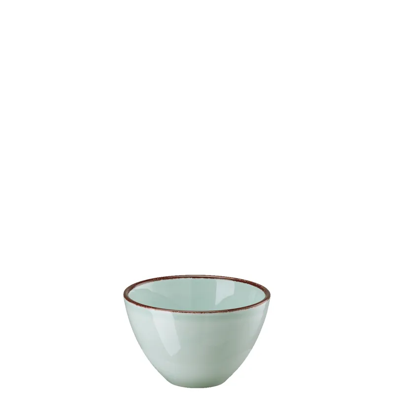 Rosenthal Profi Casual - Mint - Bowl 13 cm Schneller Versand