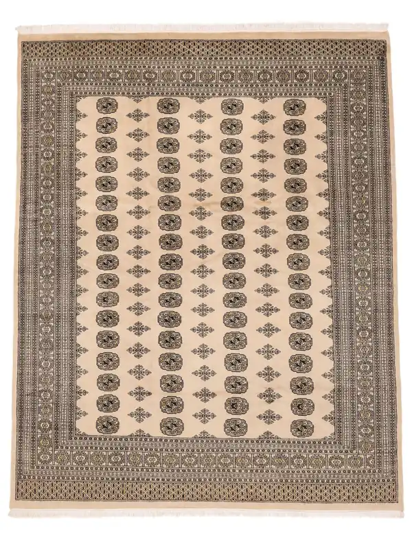AuthentischPakistan Buchara 2plyHandgeknüpftTeppichBraun / Beige244 x 306 cm Schneller Versand