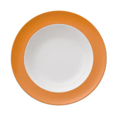 Neu Im Sortiment Thomas Suppenteller 23 cm Sunny Day Orange
