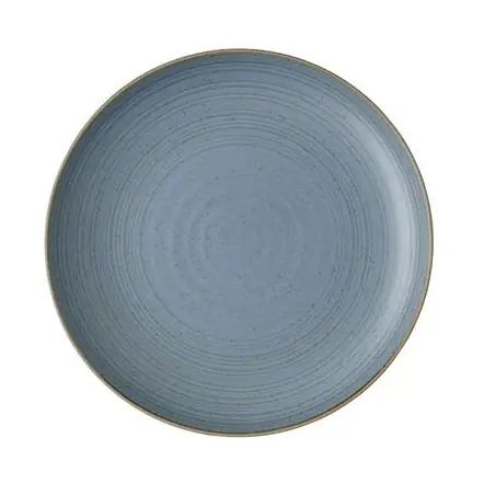 Sonderangebot Thomas Speiseteller 27 cm Nature Water