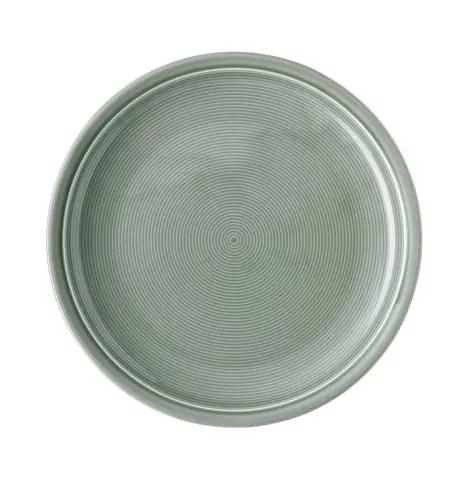 Thomas Speiseteller 26 cm Trend Colour Moss Green Solange Der Vorrat Reicht