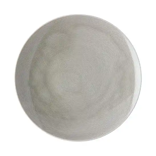 Aktuell Thomas Speiseteller 28 cm Loft Colour Moon Grey