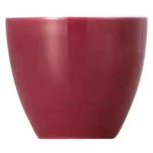 Thomas Eierbecher Sunny Day Fuchsia Nur Heute