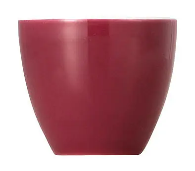 Thomas Eierbecher Sunny Day Fuchsia Nur Heute