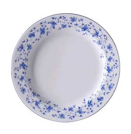 Jetzt Kaufen Arzberg Frühstücksteller fl. 22cm Form 1382 Blaublüten