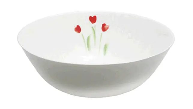 Saisonangebot Dibbern Schüssel 21 cm Impression Rot