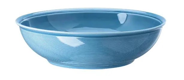 Thomas Schüssel 32 cm Trend Colour Arctic Blue Versand Am Gleichen Tag