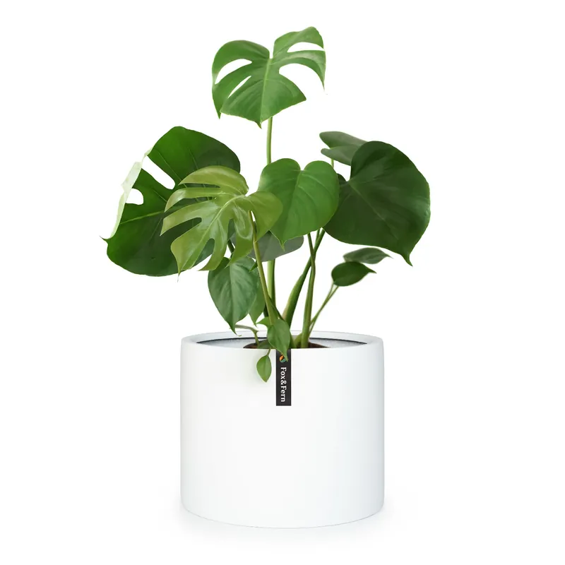 Bestseller Gendt Pflanztopf